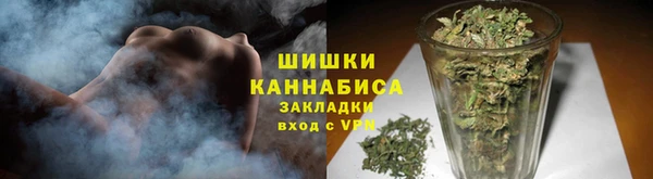 шишки Алзамай