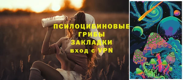 кокс Алексеевка