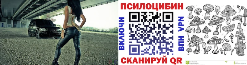 Псилоцибиновые грибы MAGIC MUSHROOMS  наркота  KRAKEN рабочий сайт  Татарск 